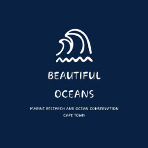 BEAUTIFUL OCEANS
